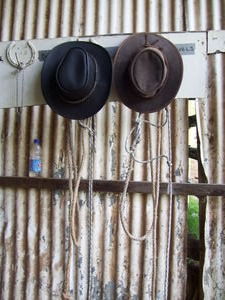 Hats in The Tack Room