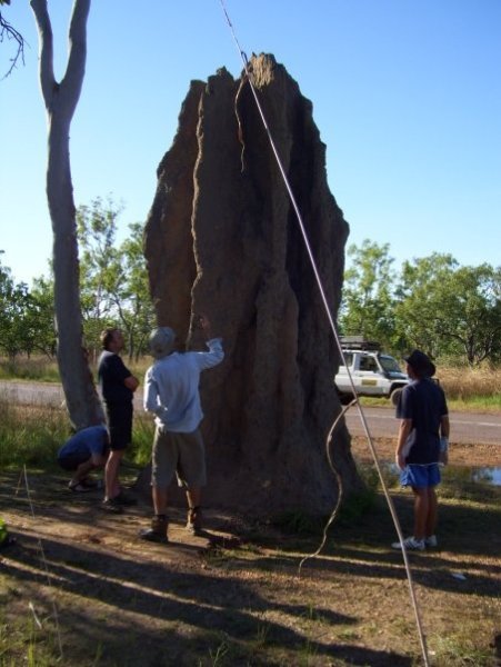 cathedral termite mound
