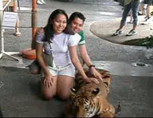 Touch the Tiger!