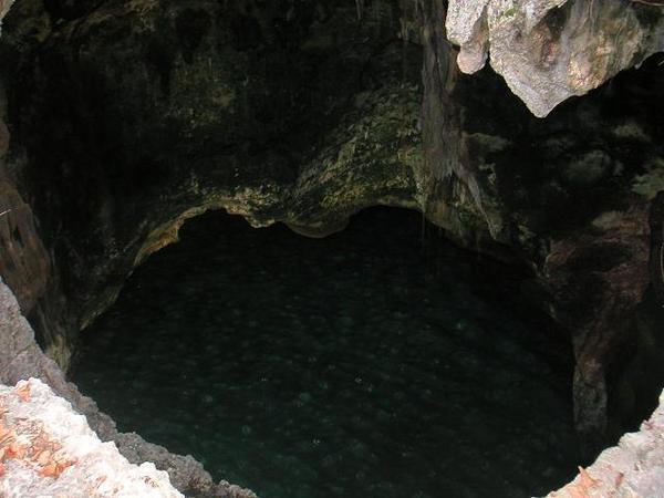 Caves within the island
