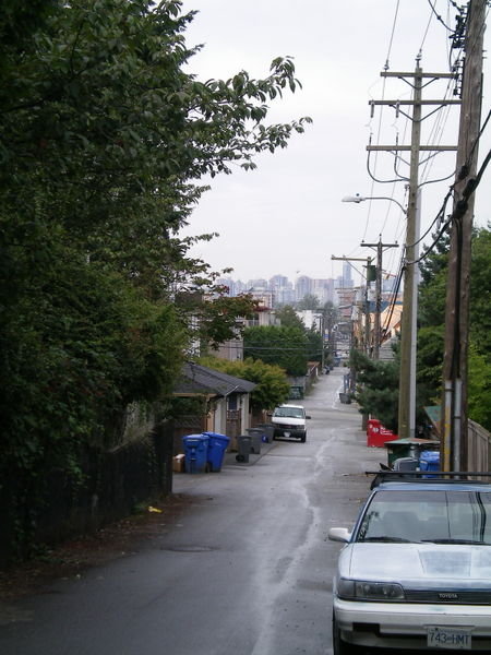 Lane behind Erica's house