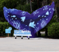 Miami Seaquarium's Captivating Animal Encounters