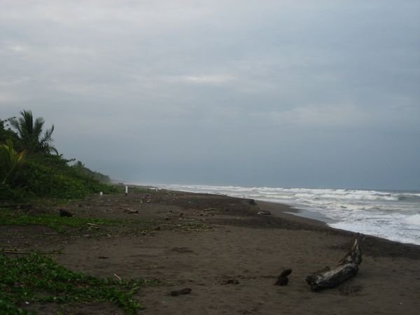 The beach at Tortuguero | Photo