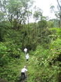 Hiking in Tapanti National Park