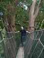 Rich discovered a fear of heights he didn't know he had on this canopy walk!!