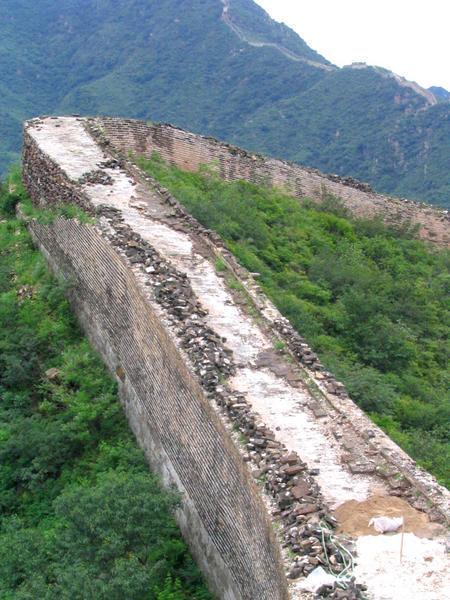 Great Wall wallless