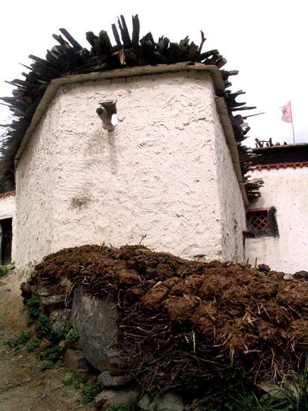 Zhigatse thorny house