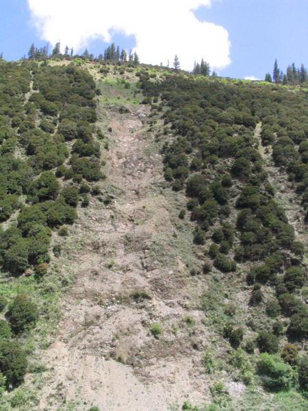 deforestation and erosion near Lithang