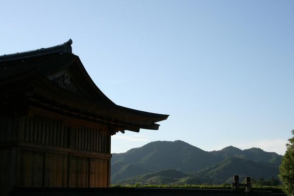 Sasayama Castle