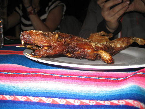Mmm.... The local Peruvian delicacy
