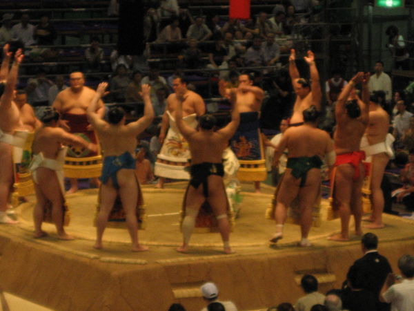 Sumo circle