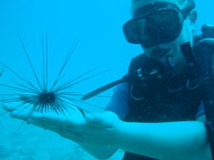 Claire and la sea urchin