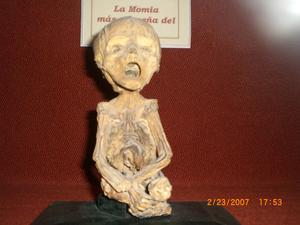 Guanajuato Baby Mummy