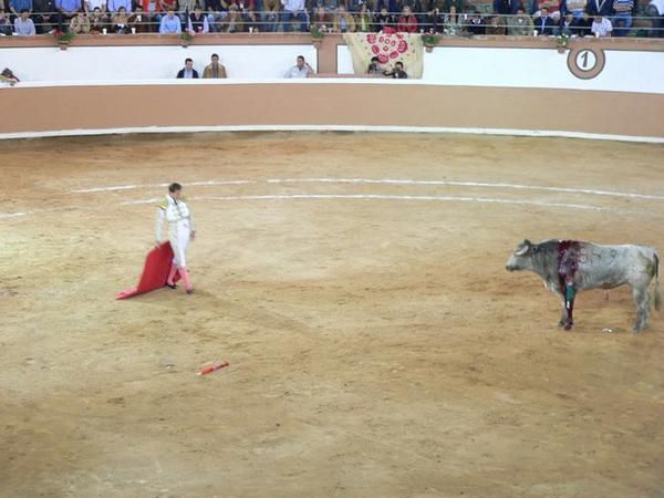 Plaza de Torros - The Bull Fight