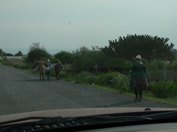 On the Road to Zimapan