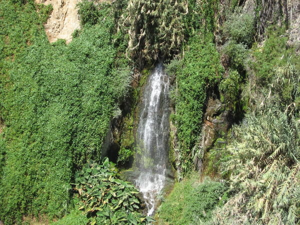 The springs feeding the oasis