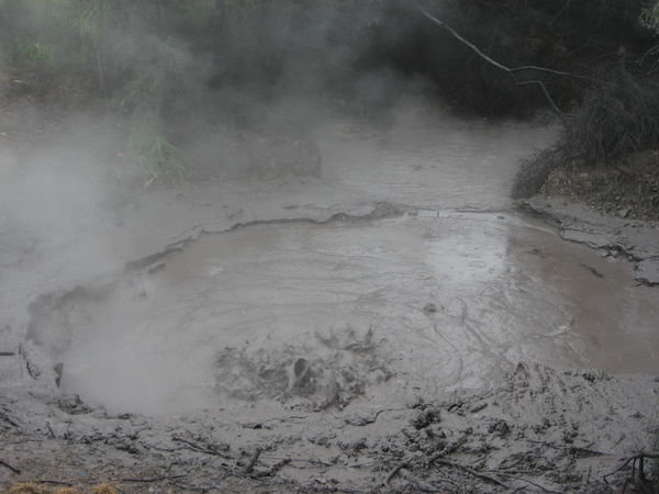 Mud pool at Roturua