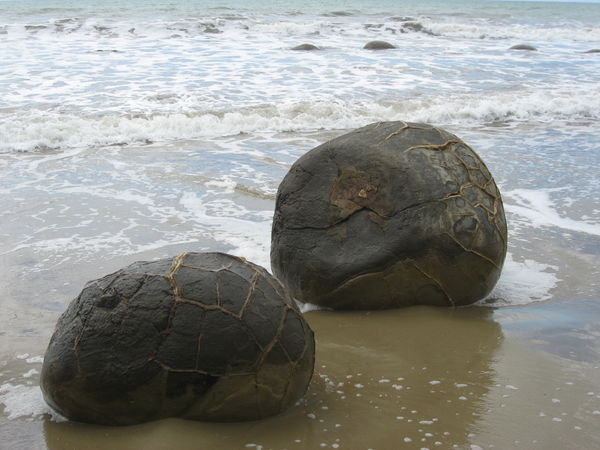 Strange boulders in the sea north of Oamaru