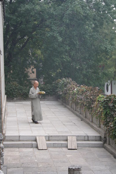 Monk in prayer