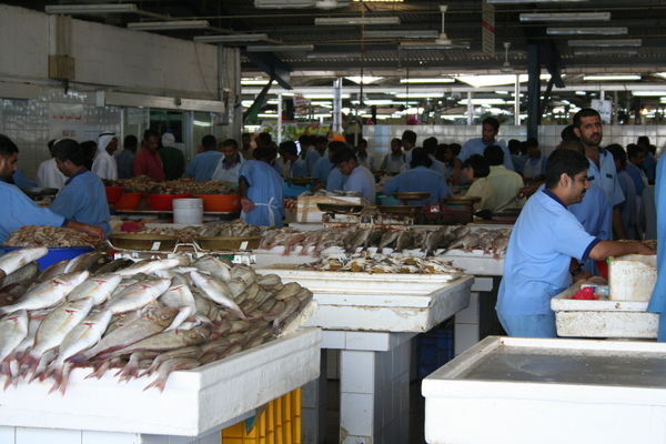 Dubai Fish market