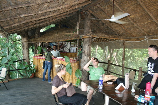Our Jungle Retreat