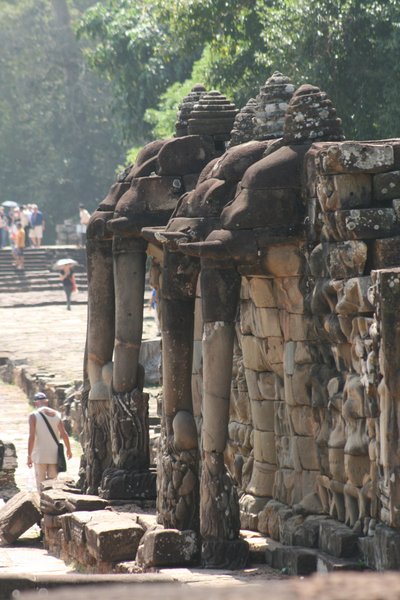 Elephant Terrace