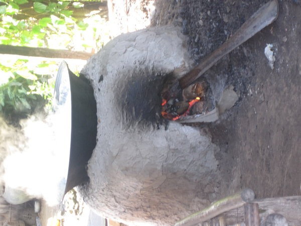 Cooking up sugar palm