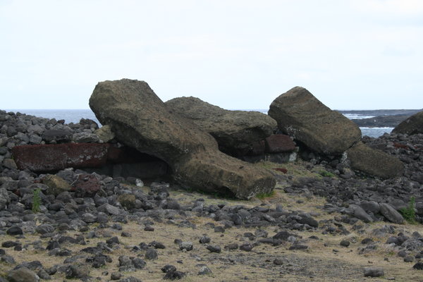 Toppled Moai at Akahanga