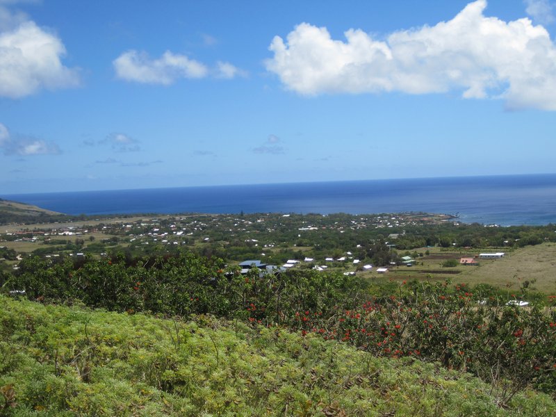 View of Haga Roa village from the top of the quarry