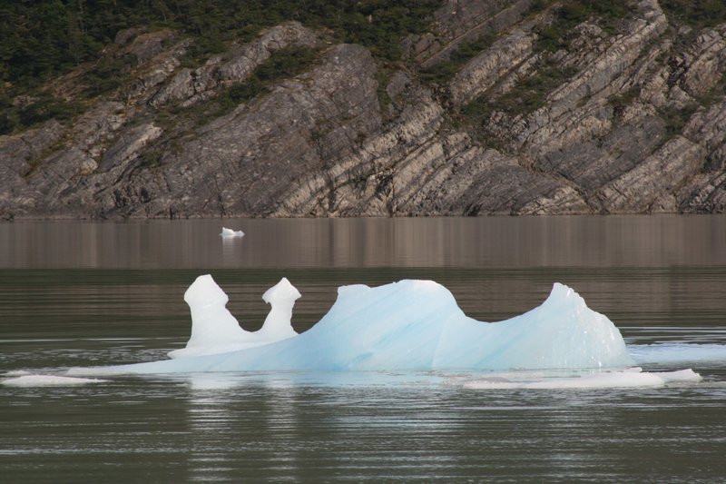 Sunbathing Penguin Iceburg
