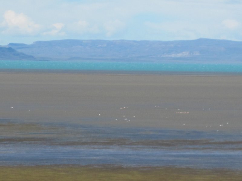 Lake Argentina in El Calafate