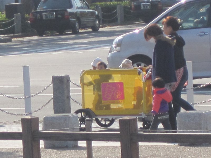 Kindergarden Transport