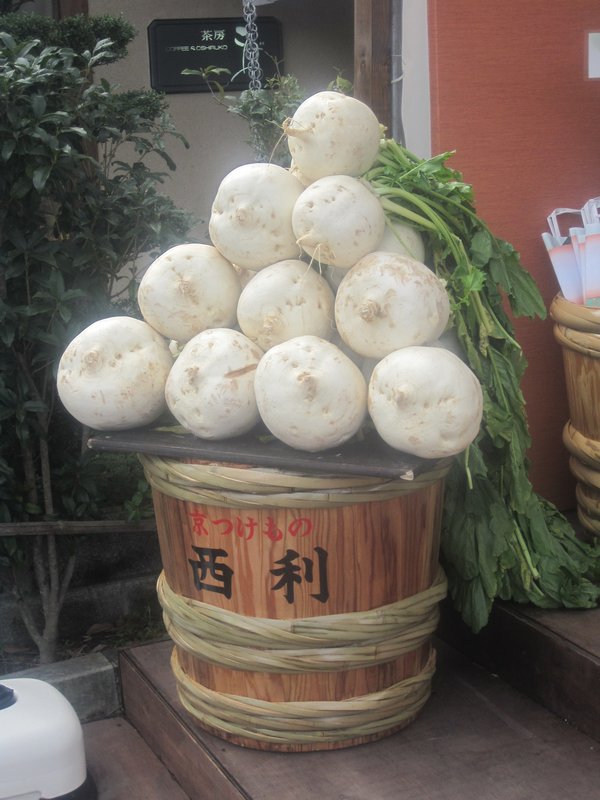 Huge turnips