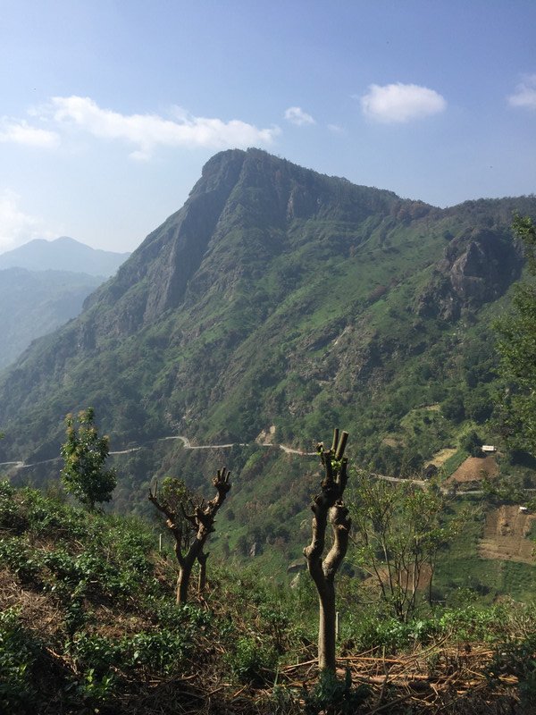 The view from Little Adams Peak