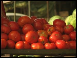 Tomatoes