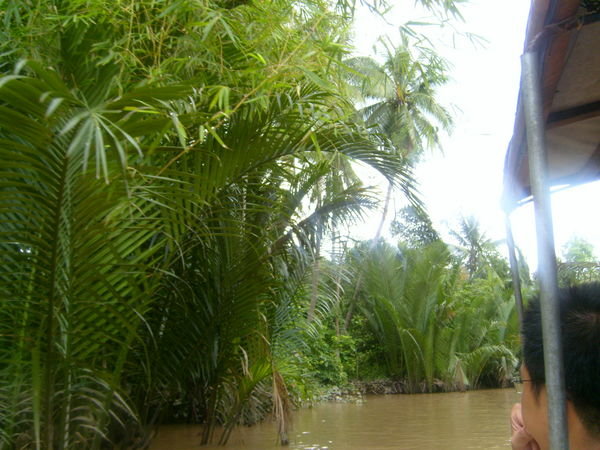 The Mekong Delta