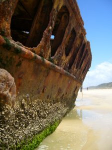 More shipwreck