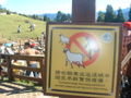 A sheep sign