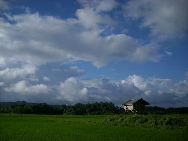 Paalwoning in de rijstvelden