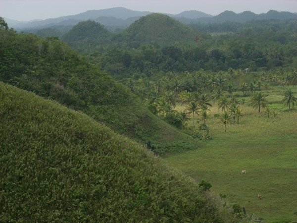 Chocolate hills (Carmen)