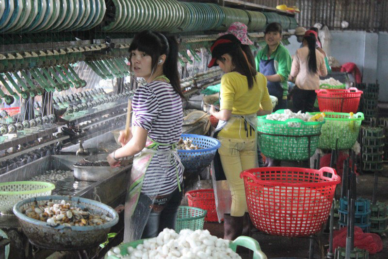Cuong Hoan Traditional Silk Centre