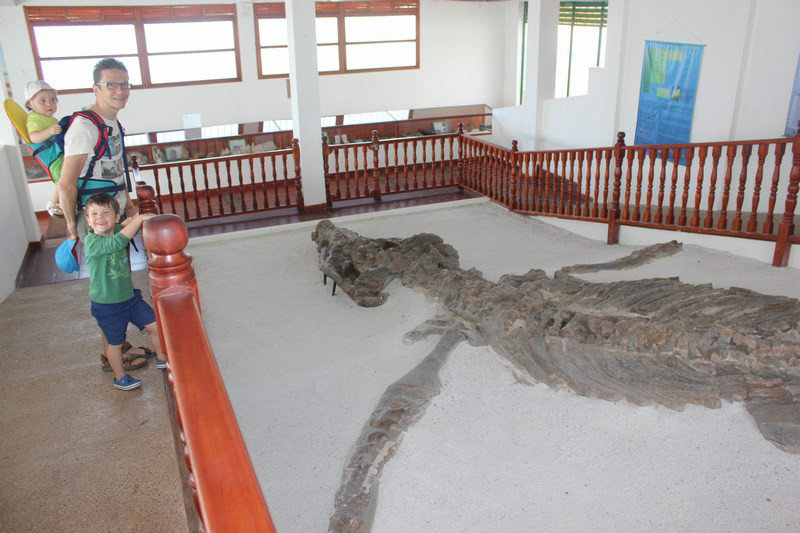Fossiel van de kronosaurus