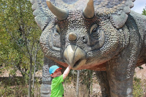 Cas voedt triceratops