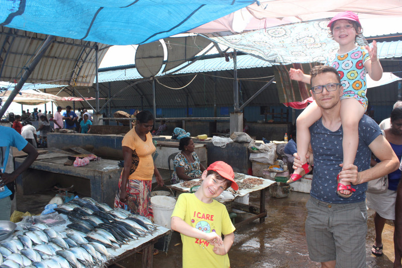 Main fish market