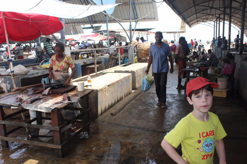 Main fish market