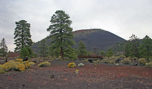 Sunset Crater and Lava Field