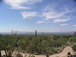 View from Arizona Sonora Desert Museum