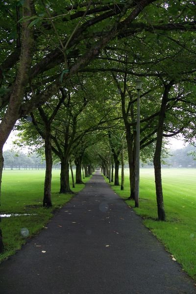 Park at University of Edinburgh