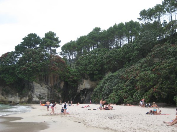 More Cathedral Cove