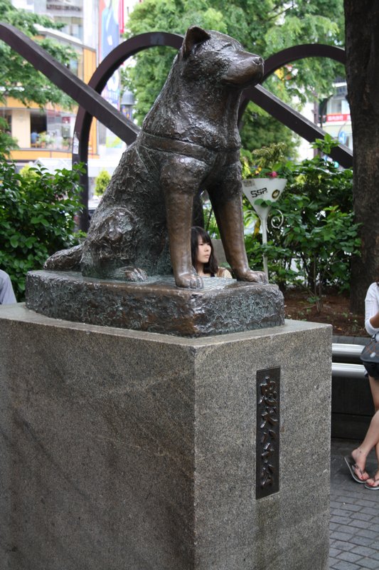 Miejsce spotkań Tokijczyków - pomnik psa,który przez 10 lat od śmierci właściciela w pracy,nadal czekał na niego codziennie przy stacji metra. Głupi prawda?
